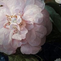 Fototapeet Amsterdam Flowers X7-1044