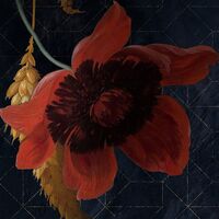 Fototapeet Amsterdam Flowers X7-1044