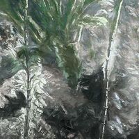 Fototapeet Fata Morgana X7-1069