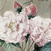 Fototapeet Everlasting X7-1075