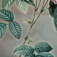 Fototapeet Everlasting X7-1075