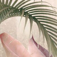 Fototapeet Rainforest Mist X7-1079