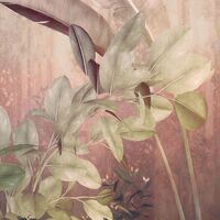 Fototapeet Rainforest Mist X7-1079