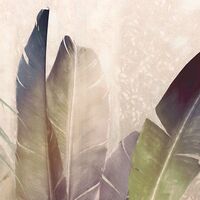 Fototapeet Rainforest Mist X7-1079