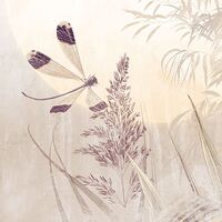 Фотообои Dragonfly Pond X7-1092