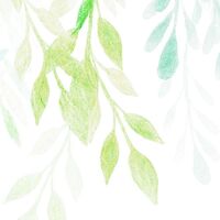 Фотообои Summer Leaves X7-1096