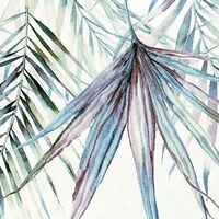 Fototapeet Palm Spring X7-1097