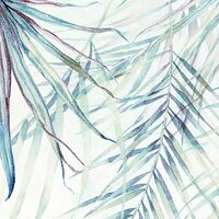 Fototapeet Palm Spring X7-1097