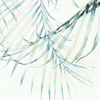 Fototapeet Palm Spring X7-1097