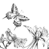 Фотообои Butterfly Field X8-1085