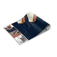 Фотообои Star Wars Classic Concrete Asteroid Worm DX4-035