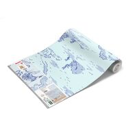 Фотообои Winnie Pooh Pat DX8-032