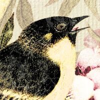 Fototapeet Love Birds LJX6-027