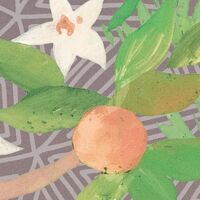 Fototapeet Persian Garden LJX6-036