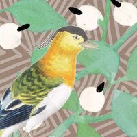 Fototapeet Persian Garden LJX6-036