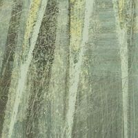 Fototapeet Palm Fronds LJX7-050