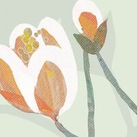 Fototapeet Hay Meadow LJX8-057