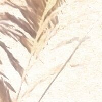 Fototapeet Dune Grass LJX8-063