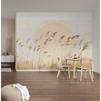 Fototapeet Dune Grass LJX8-063 (Le Jardin)