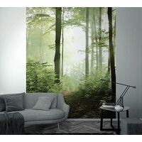 Tapeet Smart Art 47221 - Sunrise Forest