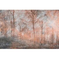 Fototapeet Mystic Forest, 375×250 cm