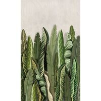 Tapeet Smart Art 47205 - Banana Tree Leaves