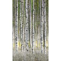 Tapeet Smart Art 47220 - Birch Grove