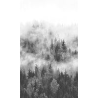 Обои Smart Art 47268 - Foggy Pine Tree Forest
