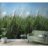 Tapeet Smart Art 47272 - Summer Field Grass