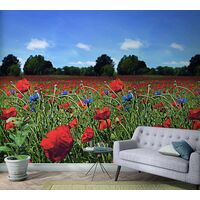 Tapeet Smart Art 47273 - Poppy Field