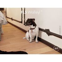 Põrandaliist Wallstyl FL5