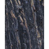 Fototapeet Komar SHX4-200 - Colors of Earth