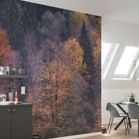 Fototapeet Komar SHX7-171 - A Million Dots