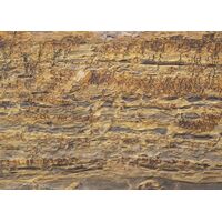 Fototapeet Komar SHX7-175 - African Wall