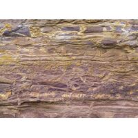 Fototapeet Komar SHX7-176 - African Wall
