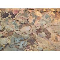 Fototapeet Komar SHX7-180 - African Wall