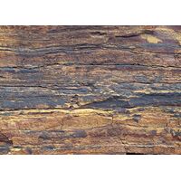 Fototapeet Komar SHX7-182 - African Wall