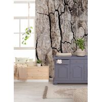 Fototapeet Komar SHX7-185 - African Wall