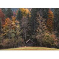 Фотообои Komar SHX7-190 - Autumn Cabin