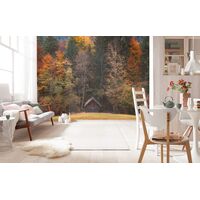 Фотообои Komar SHX7-190 - Autumn Cabin