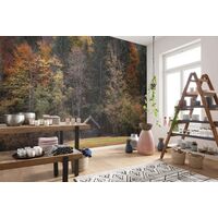 Фотообои Komar SHX7-190 - Autumn Cabin
