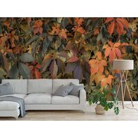 Фотообои Komar SHX7-191 - Autumn Foliage