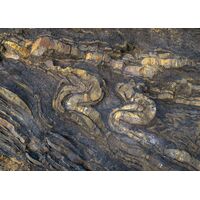 Фотообои Komar SHX7-198 - Colors of Earth