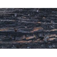 Фотообои Komar SHX7-199 - Colors of Earth