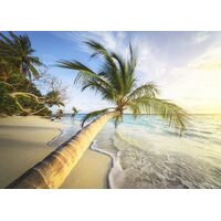 Фотообои Komar SHX7-209 - Palm Beach
