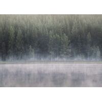 Фотообои Komar SHX7-215 - Scandi Wall