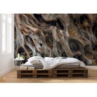 Фотообои Komar SHX7-220 - Swirly Bark