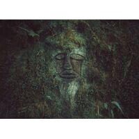 Фотообои Komar SHX7-221 - The Guardian