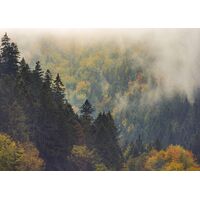 Фотообои Komar SHX7-225 - Misty Forest Elegance