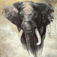 Pilttapeet Smart Art 33098 Elephant, 159×270 cm